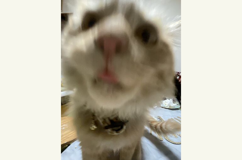 S__311107591